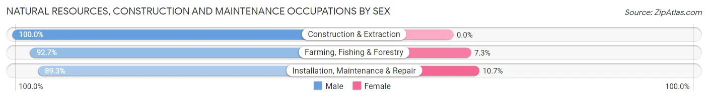 Natural Resources, Construction and Maintenance Occupations by Sex in Yuma