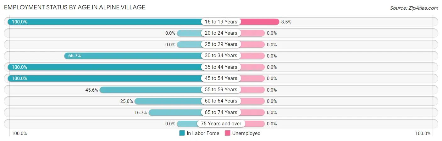 Employment Status by Age in Alpine Village