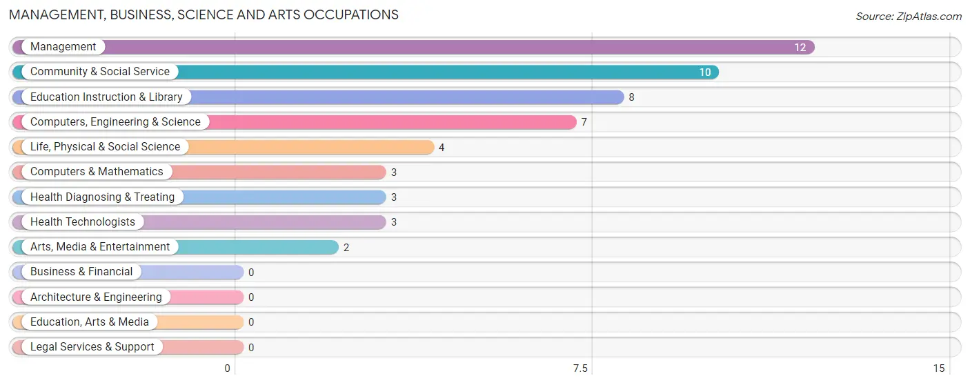 Management, Business, Science and Arts Occupations in Alpine Village