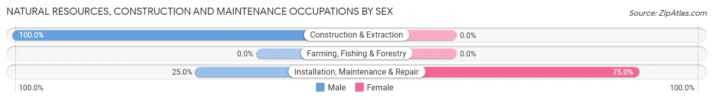 Natural Resources, Construction and Maintenance Occupations by Sex in Alpine Village