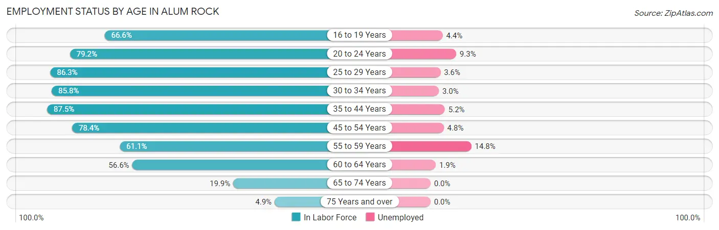 Employment Status by Age in Alum Rock