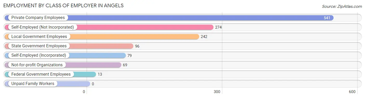 Employment by Class of Employer in Angels