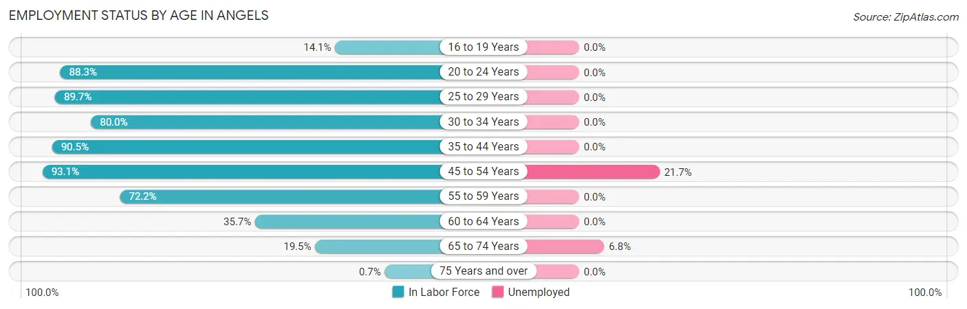 Employment Status by Age in Angels