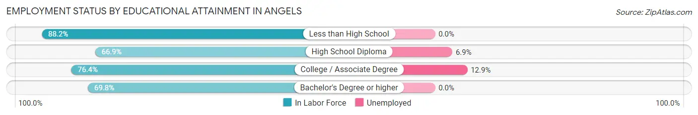 Employment Status by Educational Attainment in Angels