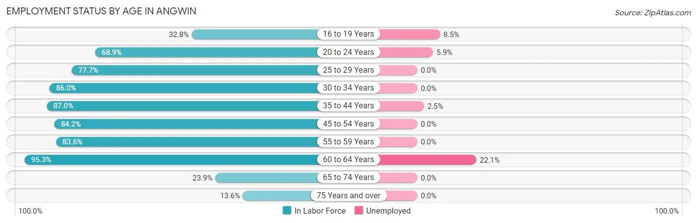 Employment Status by Age in Angwin