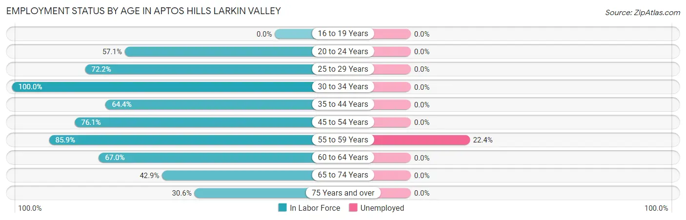 Employment Status by Age in Aptos Hills Larkin Valley