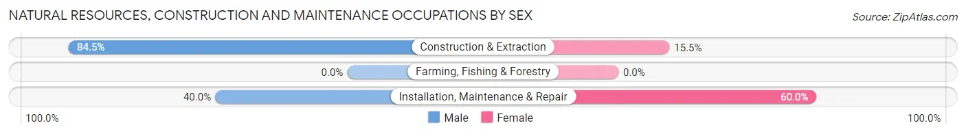 Natural Resources, Construction and Maintenance Occupations by Sex in Auburn Lake Trails