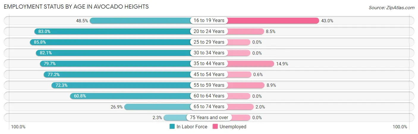 Employment Status by Age in Avocado Heights