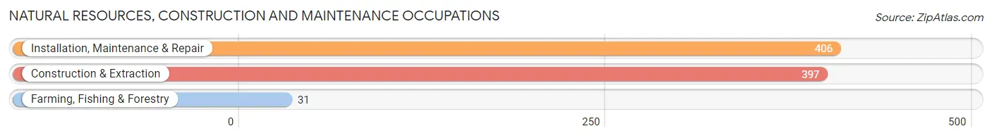 Natural Resources, Construction and Maintenance Occupations in Avocado Heights