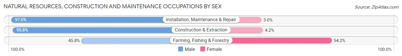 Natural Resources, Construction and Maintenance Occupations by Sex in Azusa