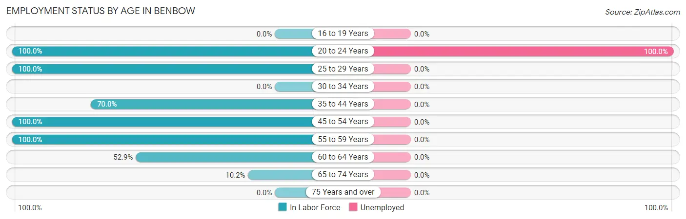 Employment Status by Age in Benbow