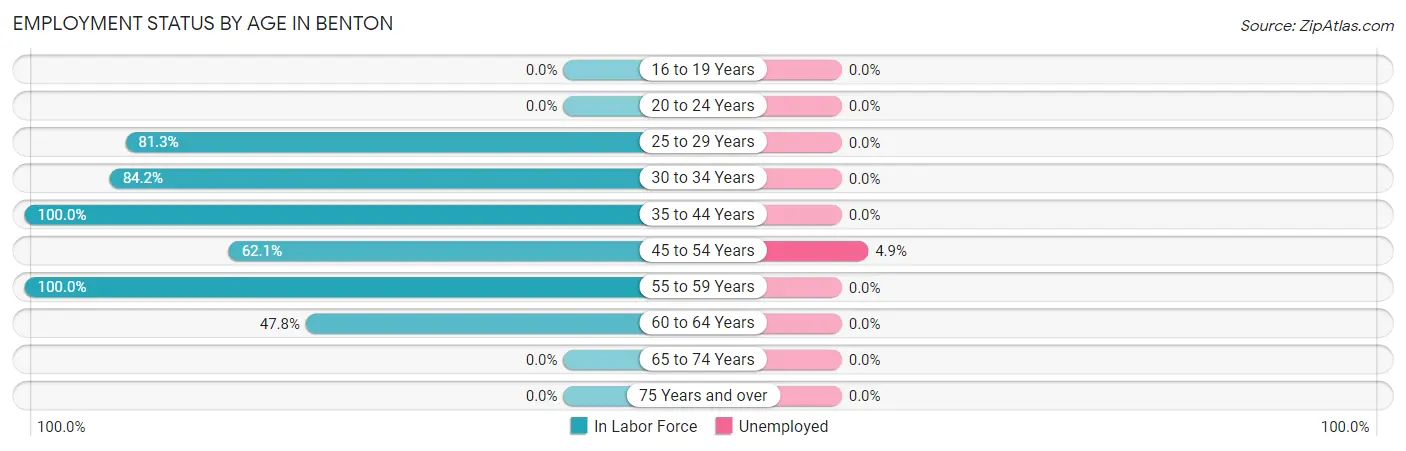 Employment Status by Age in Benton