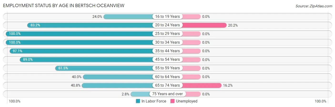 Employment Status by Age in Bertsch Oceanview