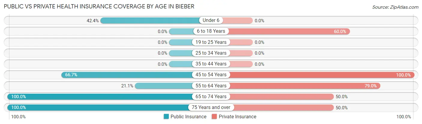 Public vs Private Health Insurance Coverage by Age in Bieber