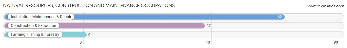 Natural Resources, Construction and Maintenance Occupations in Big Bear Lake