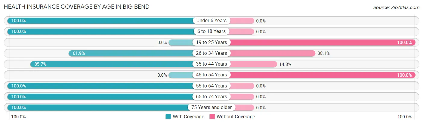Health Insurance Coverage by Age in Big Bend