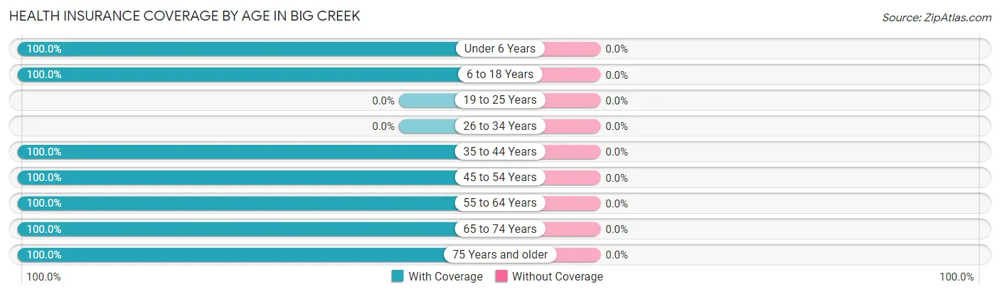 Health Insurance Coverage by Age in Big Creek