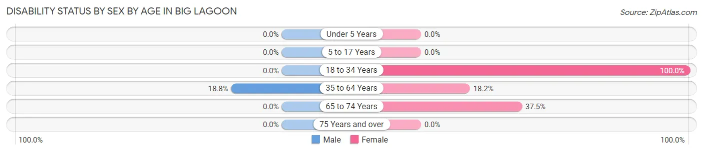 Disability Status by Sex by Age in Big Lagoon