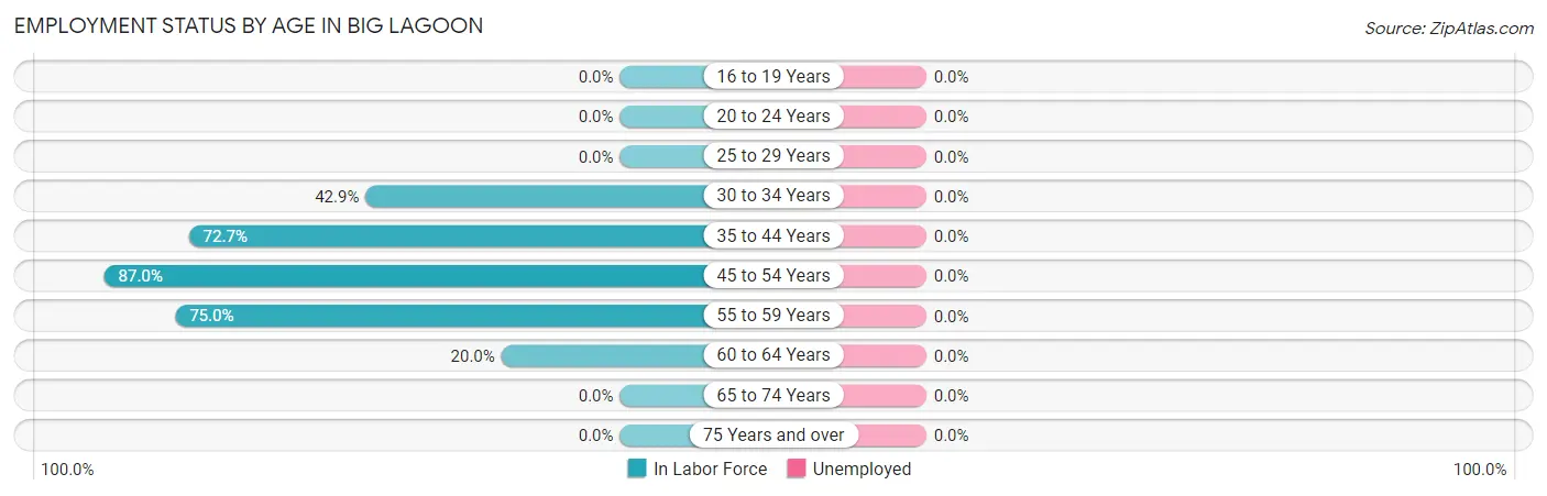 Employment Status by Age in Big Lagoon