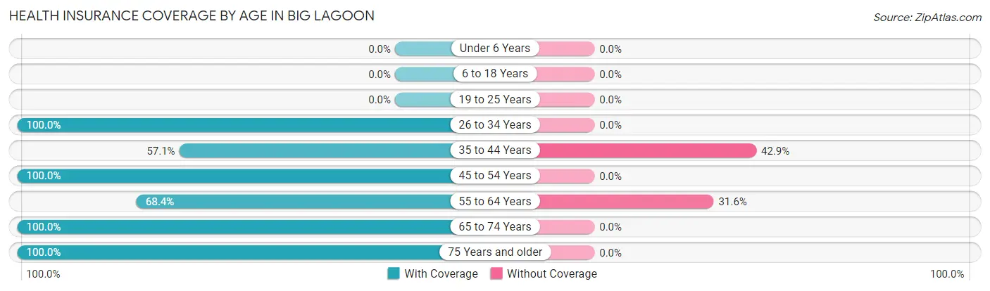 Health Insurance Coverage by Age in Big Lagoon