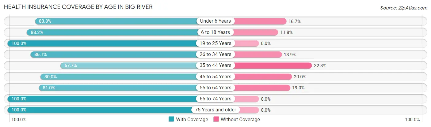 Health Insurance Coverage by Age in Big River