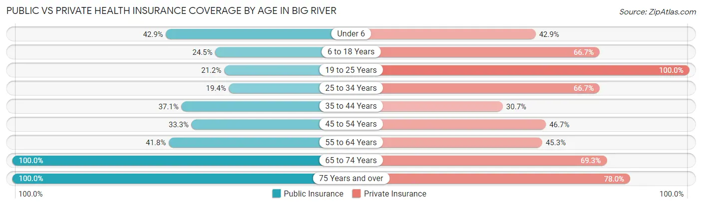 Public vs Private Health Insurance Coverage by Age in Big River