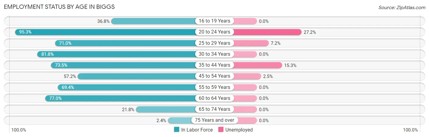 Employment Status by Age in Biggs
