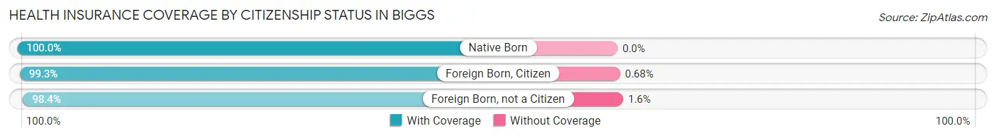 Health Insurance Coverage by Citizenship Status in Biggs