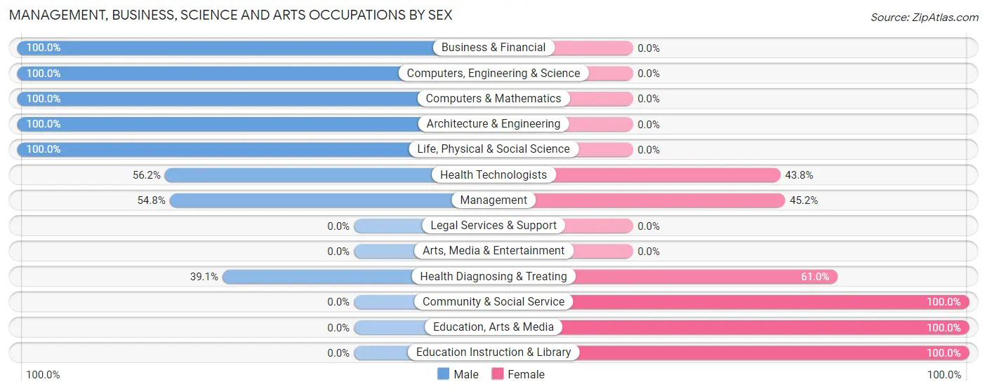 Management, Business, Science and Arts Occupations by Sex in Biggs