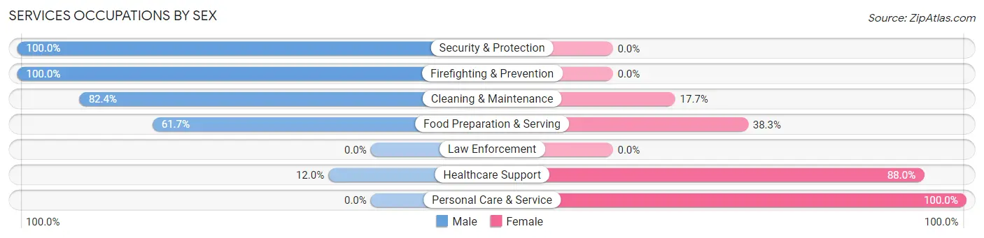 Services Occupations by Sex in Biggs