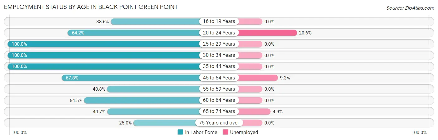 Employment Status by Age in Black Point Green Point