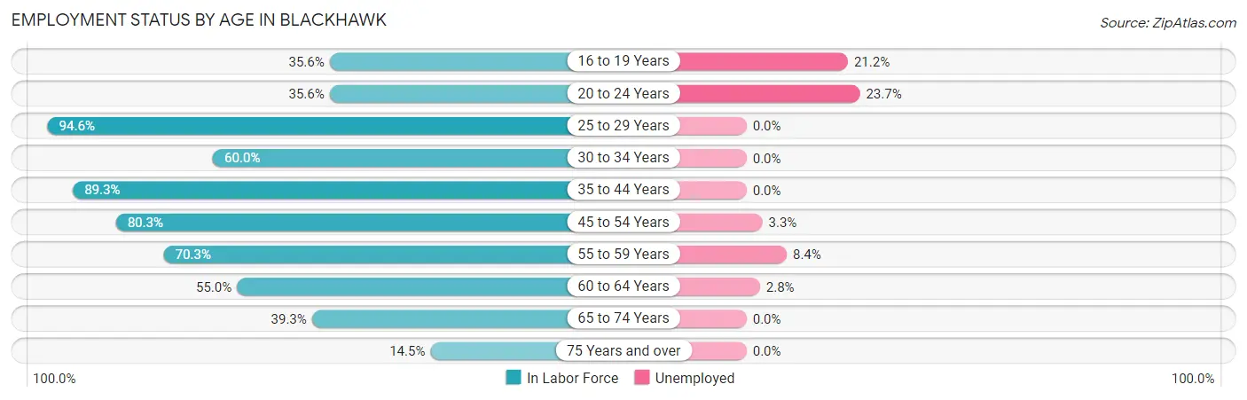 Employment Status by Age in Blackhawk