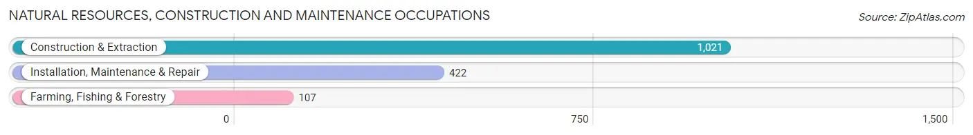 Natural Resources, Construction and Maintenance Occupations in Bloomington