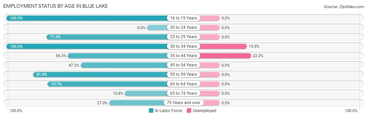 Employment Status by Age in Blue Lake