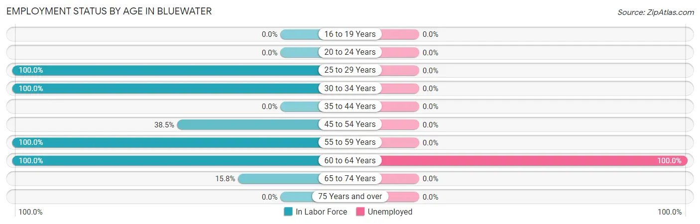 Employment Status by Age in Bluewater