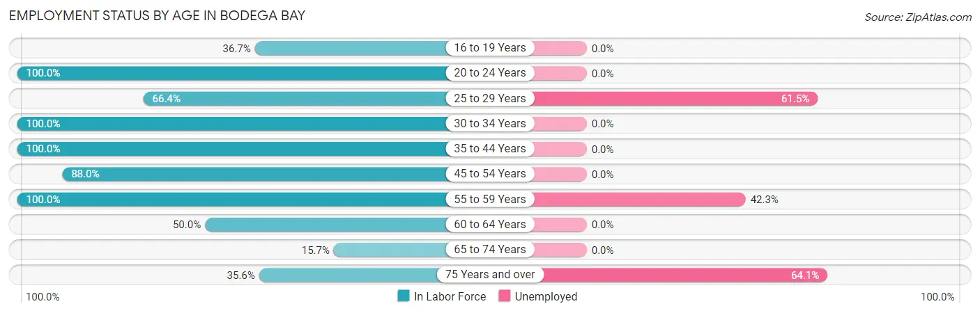 Employment Status by Age in Bodega Bay