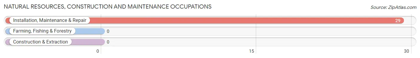 Natural Resources, Construction and Maintenance Occupations in Bodega