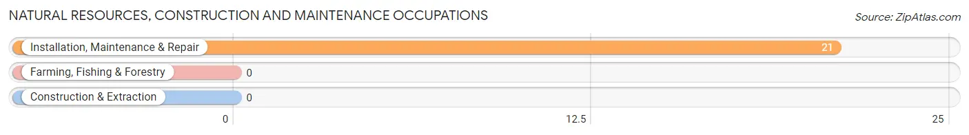 Natural Resources, Construction and Maintenance Occupations in Bodfish