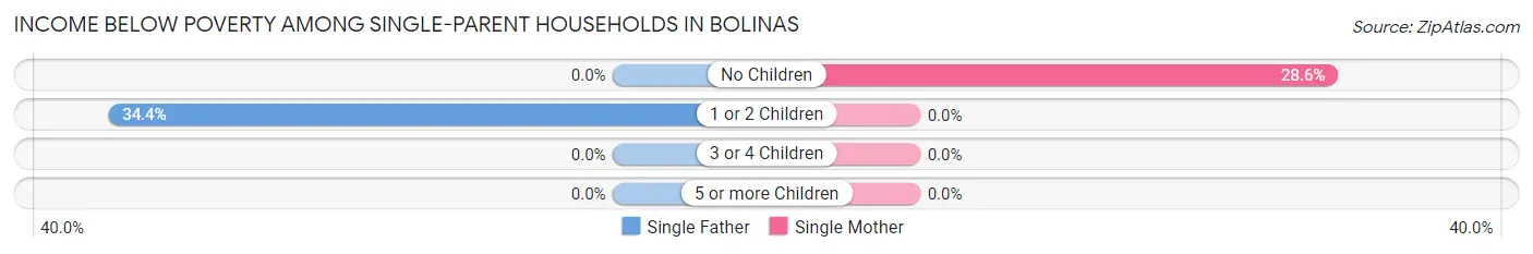 Income Below Poverty Among Single-Parent Households in Bolinas