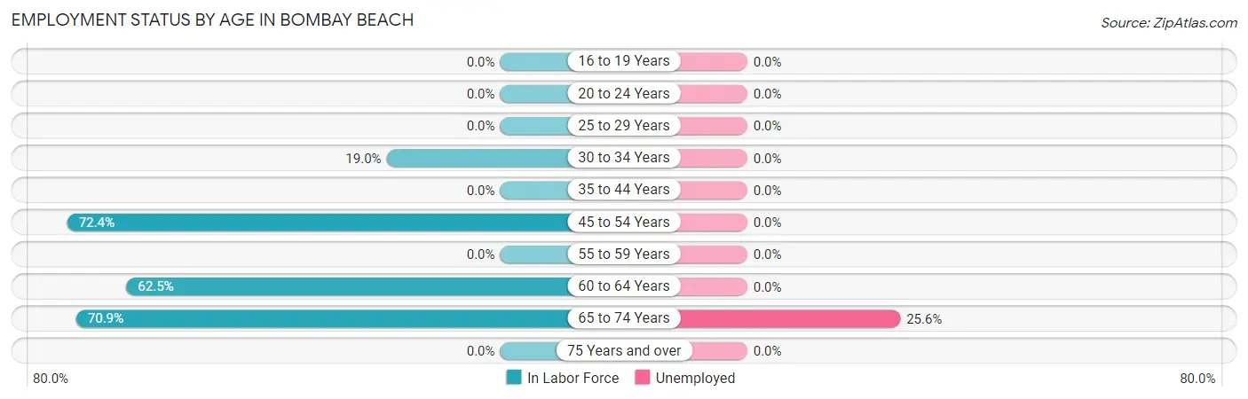 Employment Status by Age in Bombay Beach