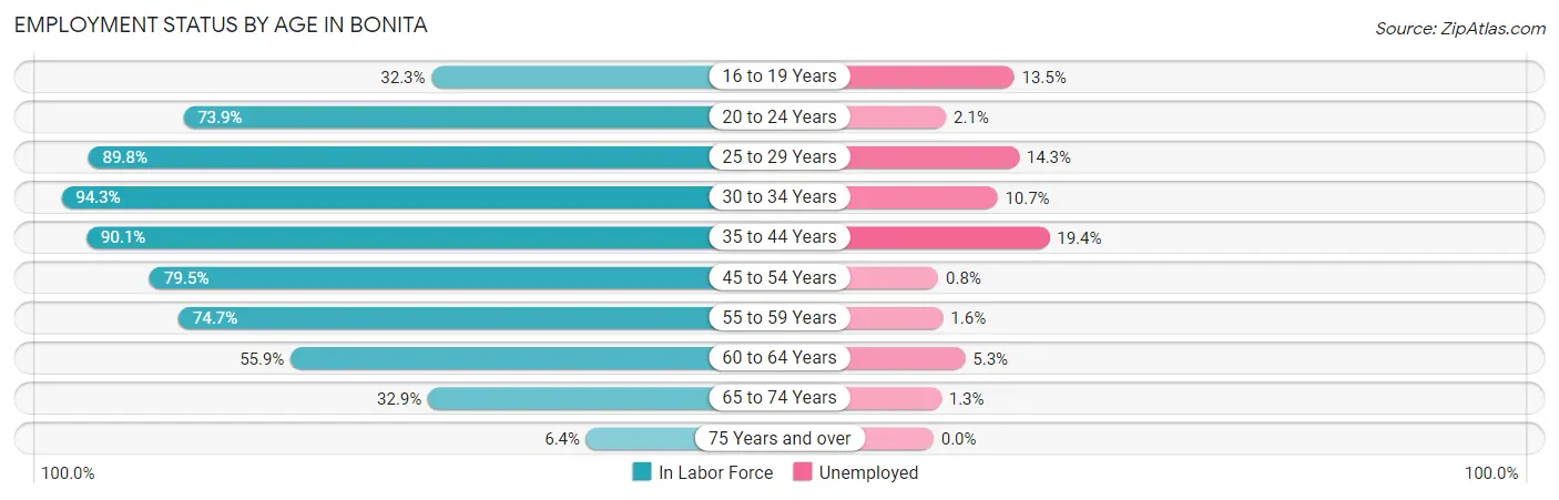 Employment Status by Age in Bonita