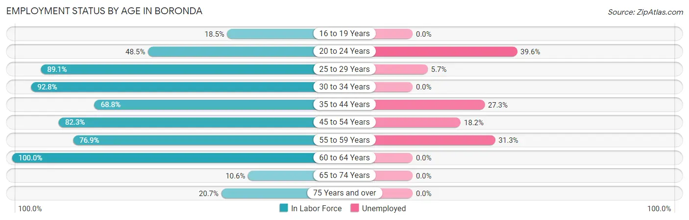 Employment Status by Age in Boronda
