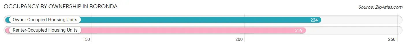 Occupancy by Ownership in Boronda