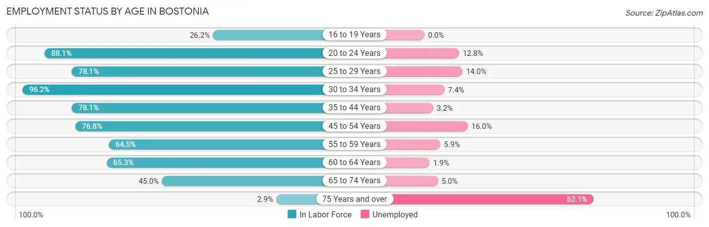 Employment Status by Age in Bostonia
