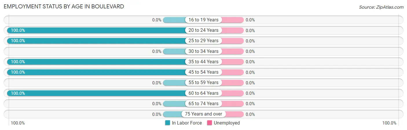 Employment Status by Age in Boulevard