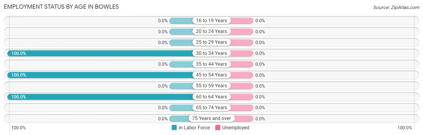 Employment Status by Age in Bowles