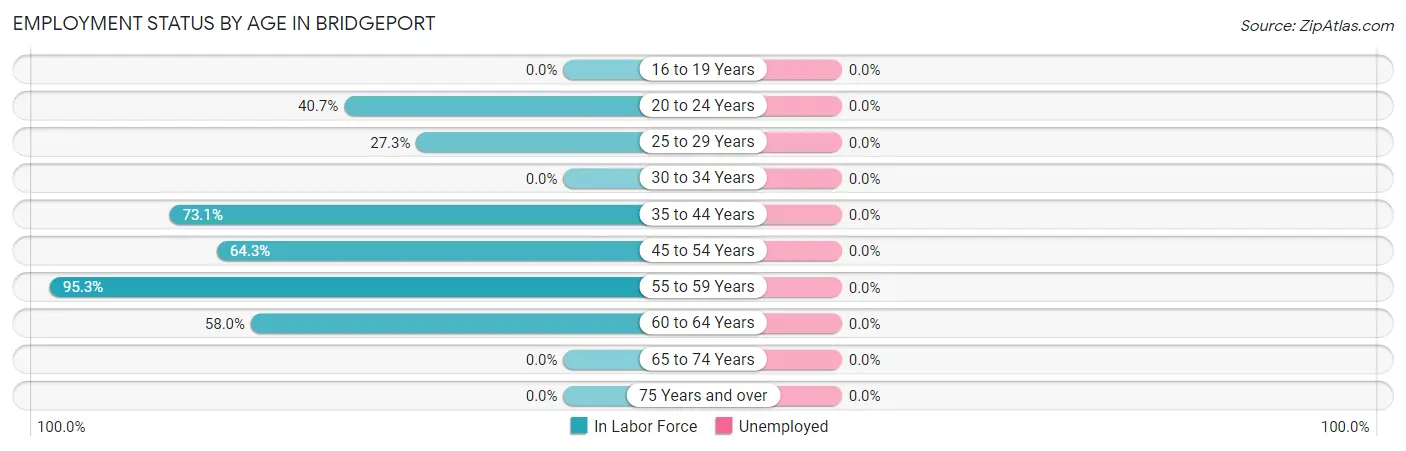 Employment Status by Age in Bridgeport