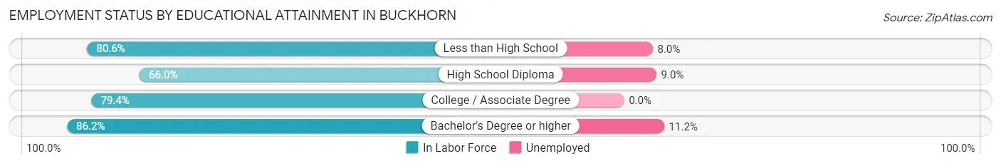 Employment Status by Educational Attainment in Buckhorn