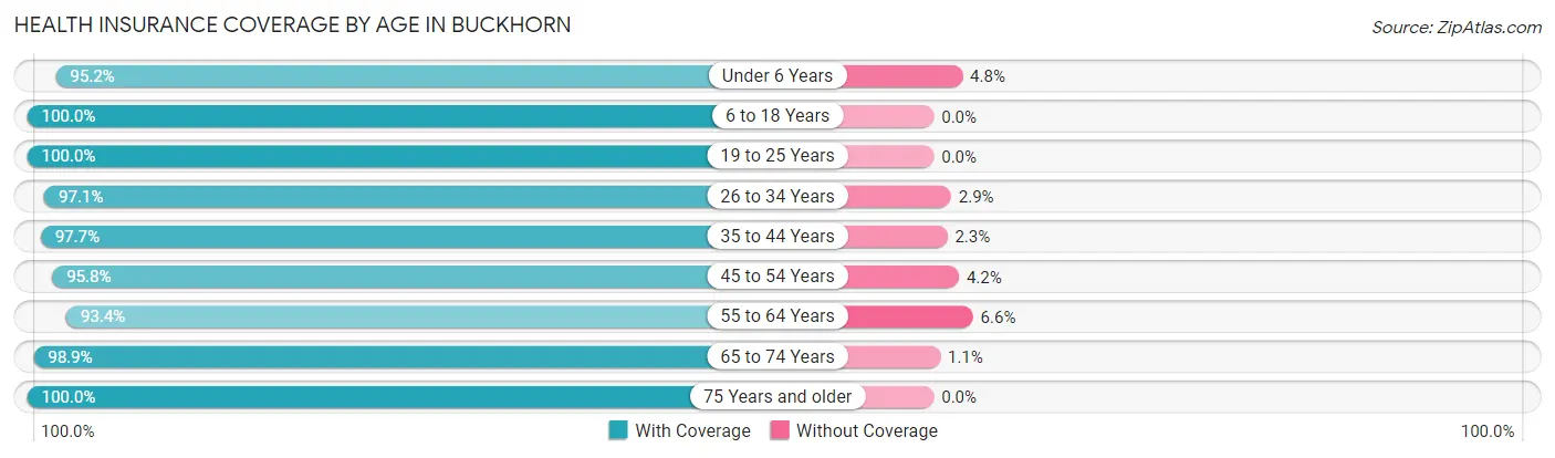 Health Insurance Coverage by Age in Buckhorn