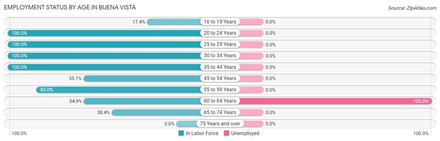 Employment Status by Age in Buena Vista